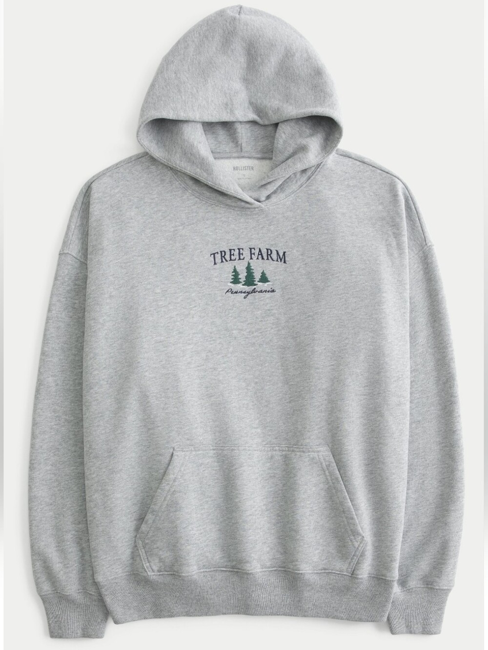 Hollister Feel Good Fleece Pennsylvania Tree Farm Graphic Hoodie Womens Small